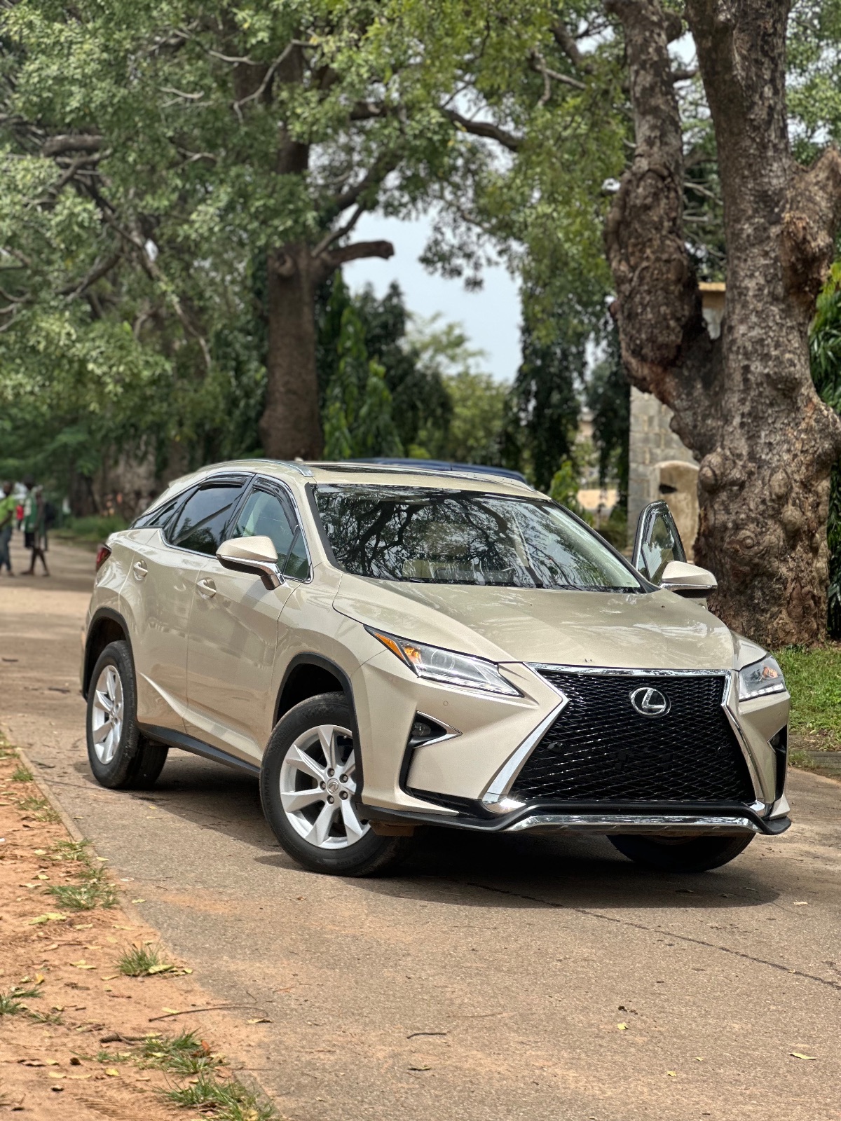 2018 Lexus RX 350 photo 1